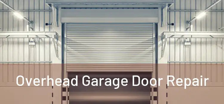  Overhead Garage Door Repair 